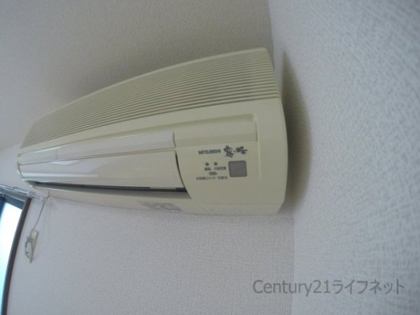 アンプルールフェールドミール