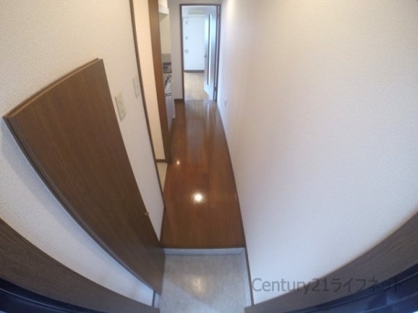 アンプルールフェールドミール