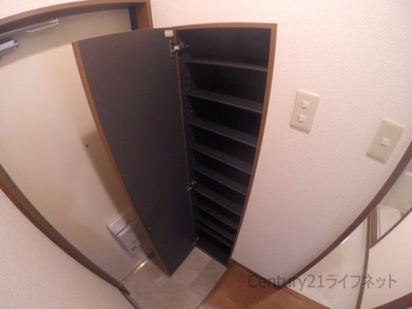 アンプルールフェールドミール