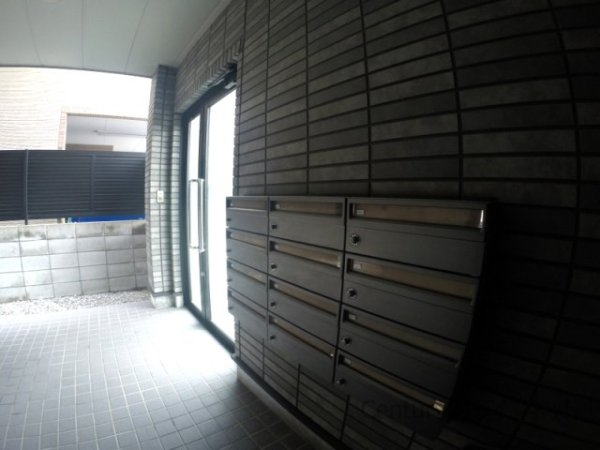 アンプルールフェールドミール