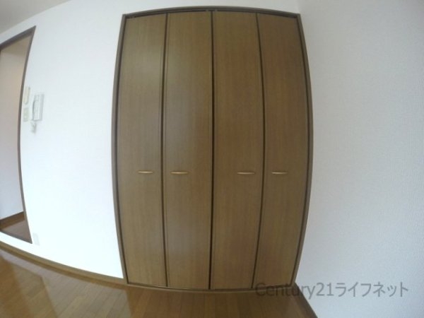 アンプルールフェールドミール