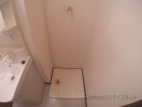 アンプルールフェールドミール