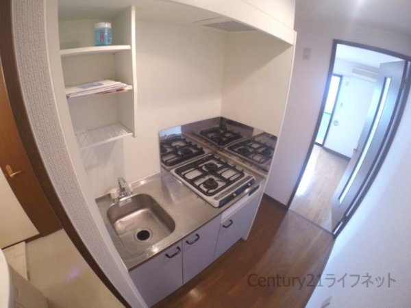 アンプルールフェールドミール