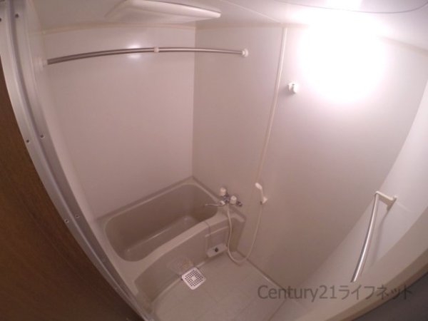 アンプルールフェールドミール