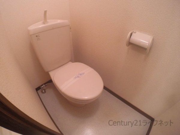 アンプルールフェールドミール