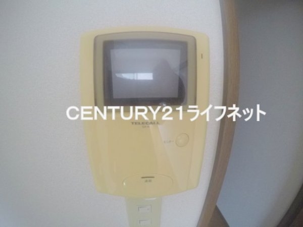 ヴェルドミール