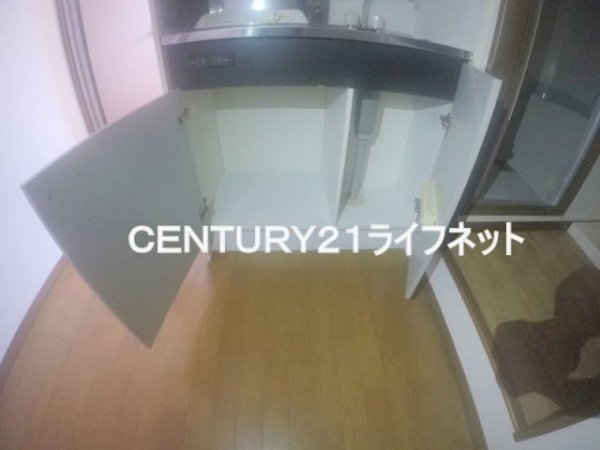 ヴェルドミール