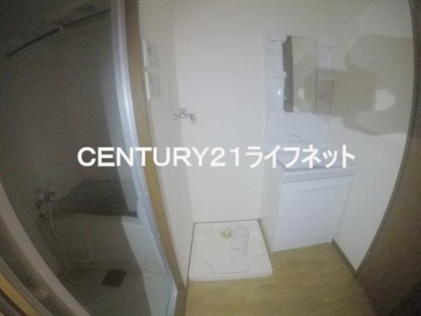 ヴェルドミール