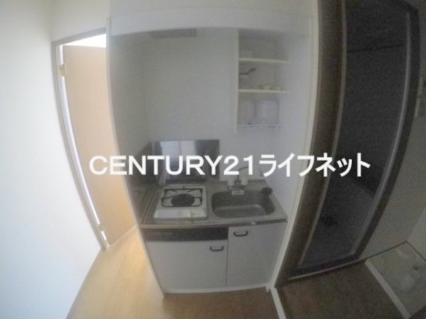 ヴェルドミール