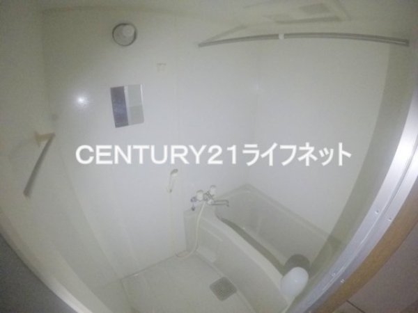 ヴェルドミール