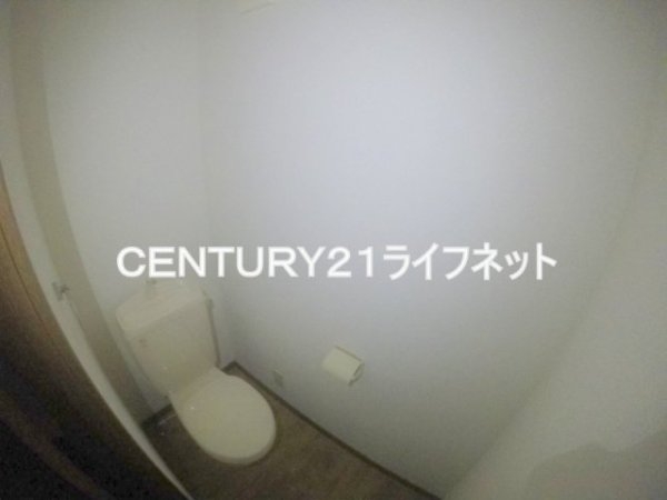 ヴェルドミール