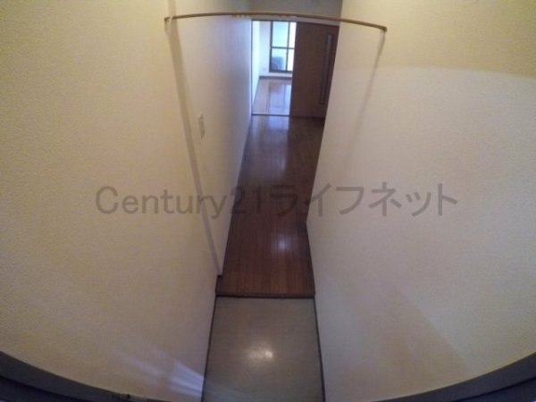 アルビオン
