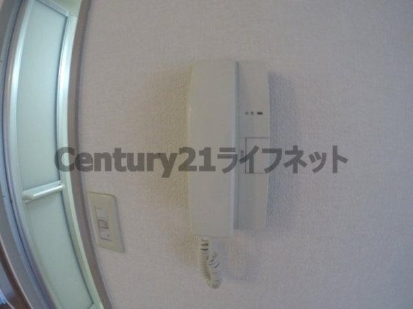 メゾンリュート