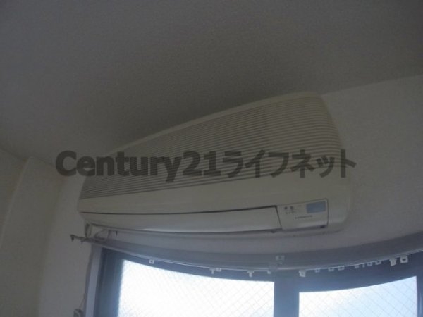 メゾンリュート