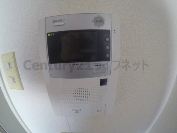 ハイフィールド