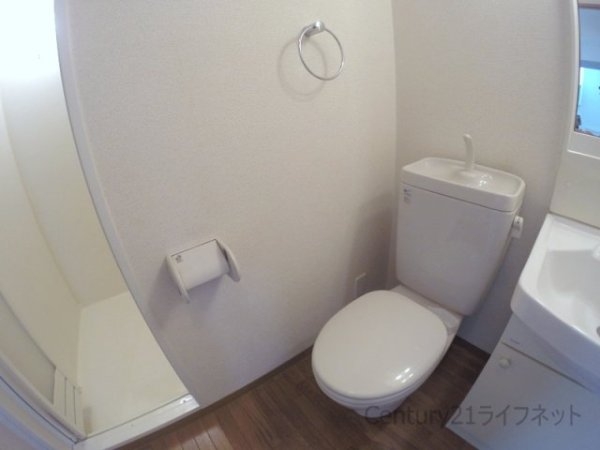 モデラート