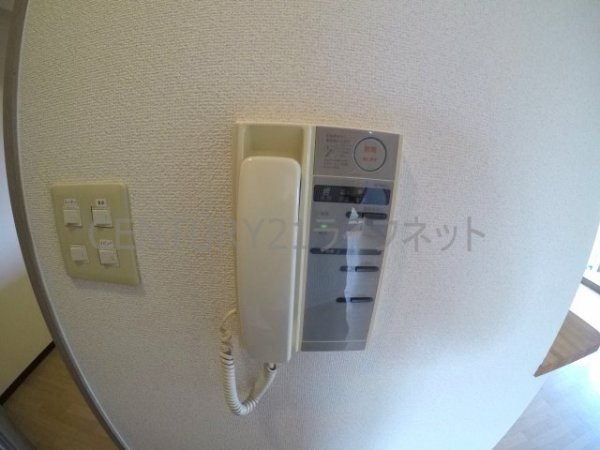 メゾンドプルメリア