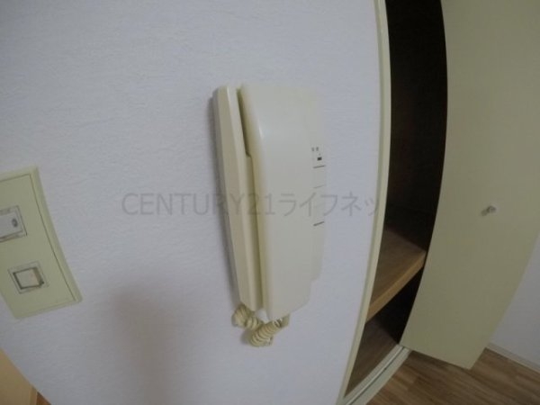 十三ホワイティ