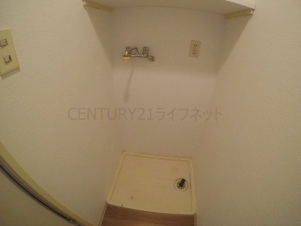 十三ホワイティ