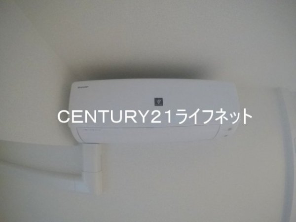 ブリーゼ