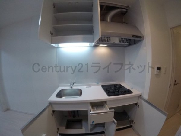 スプランディッド三国1