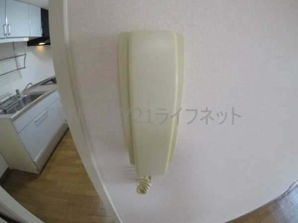 グレイス谷川
