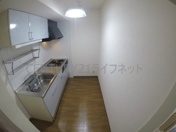グレイス谷川