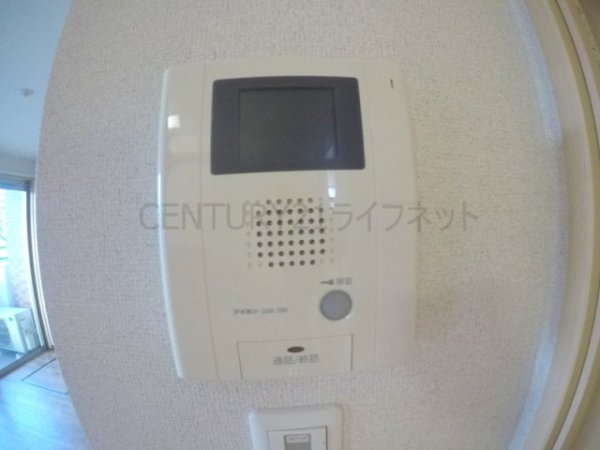 ルネサンス