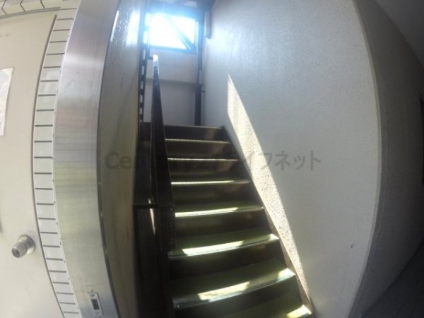 ファミリーハイツ(その他共用部分)