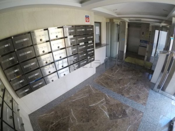 シャルム橋本3(その他共用部分)