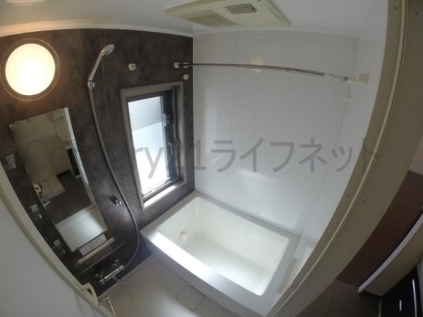 N’s First(エヌズファースト)(バス)