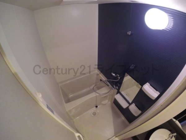 サーフアイランドモナリザ(バス)