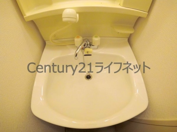 アイディール中之島(洗面台・洗面所)