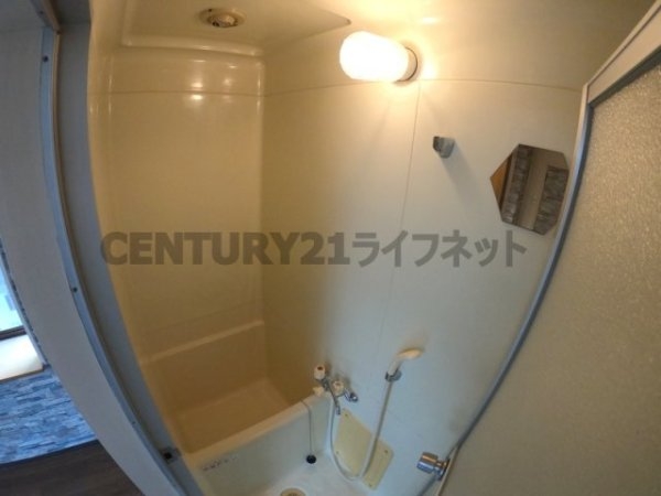 アルバトロス(バス)