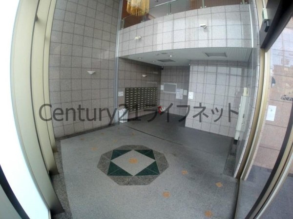 エクセレント上新12