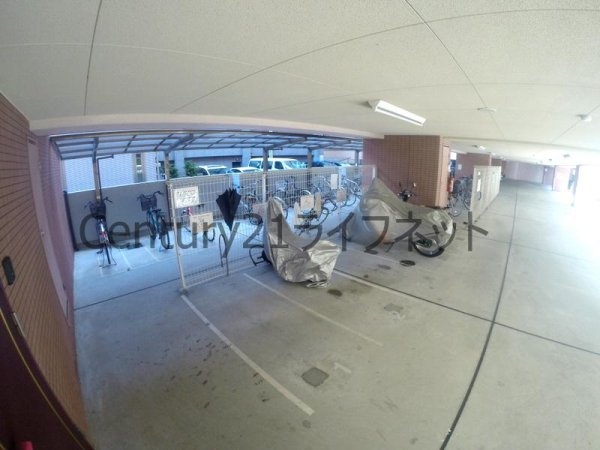 エクセレント上新12