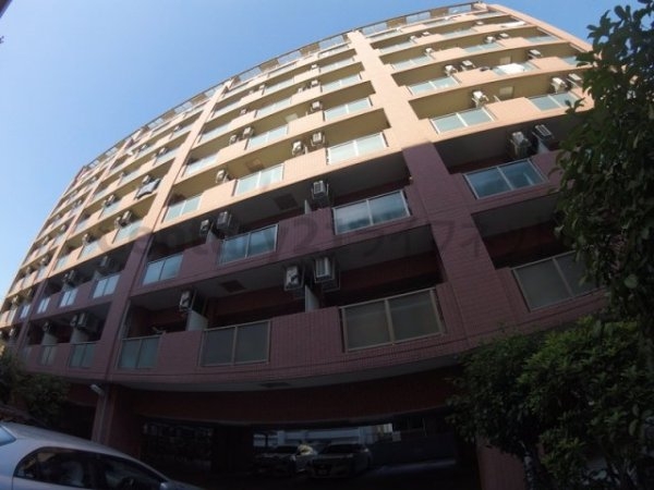 エクセレント上新12