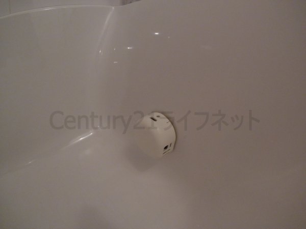 リアンカーサ長柄(バス)