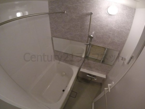 リアンカーサ長柄(バス)