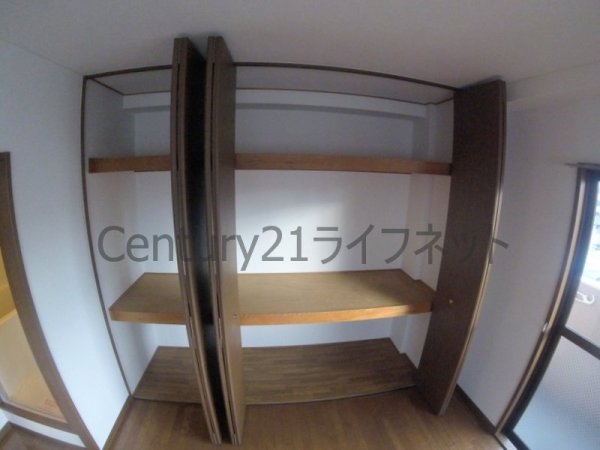 プランドールトダ