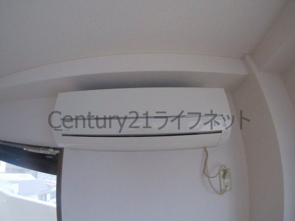 プランドールトダ