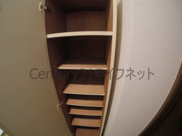 プランドールトダ