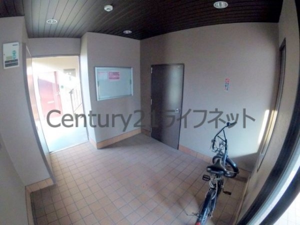 プランドールトダ