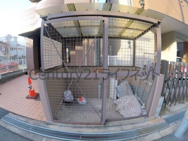 プランドールトダ