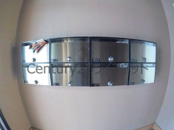 プランドールトダ