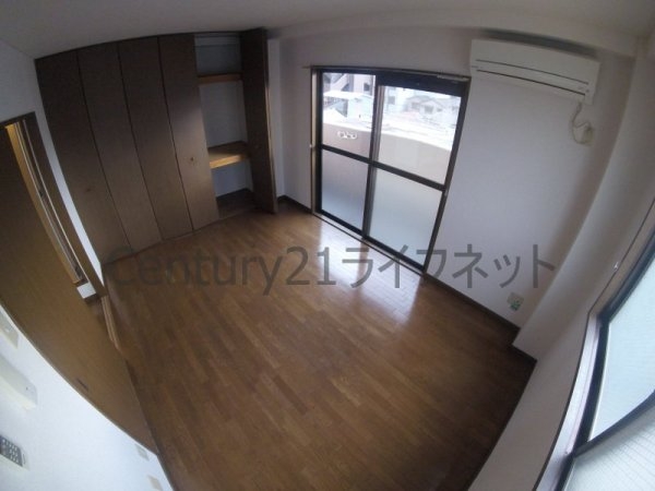 プランドールトダ