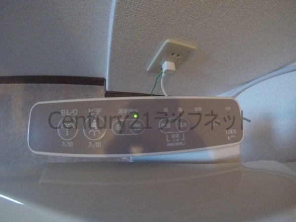 プランドールトダ