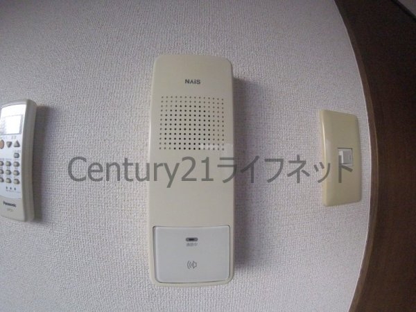 プランドールトダ