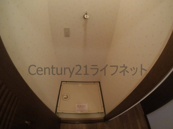 プランドールトダ