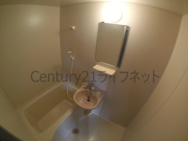 プランドールトダ